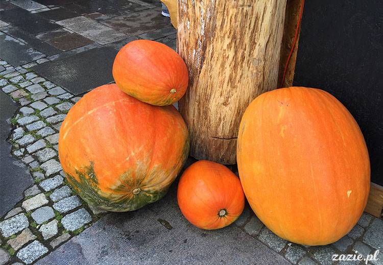 Wojsławice, Arboretum w Wojsławicach, ogród botaniczny Uniwersytetu Wrocławskiego