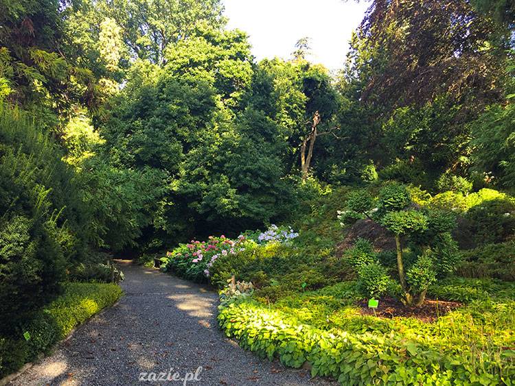 Wojsławice, Arboretum w Wojsławicach, ogród botaniczny Uniwersytetu Wrocławskiego