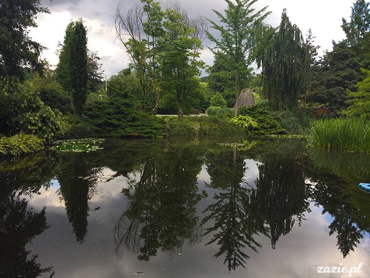 Wojsławice, Arboretum w Wojsławicach, ogród botaniczny Uniwersytetu Wrocławskiego