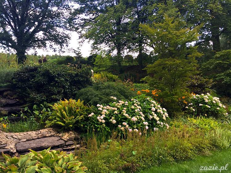 Wojsławice, Arboretum w Wojsławicach, ogród botaniczny Uniwersytetu Wrocławskiego