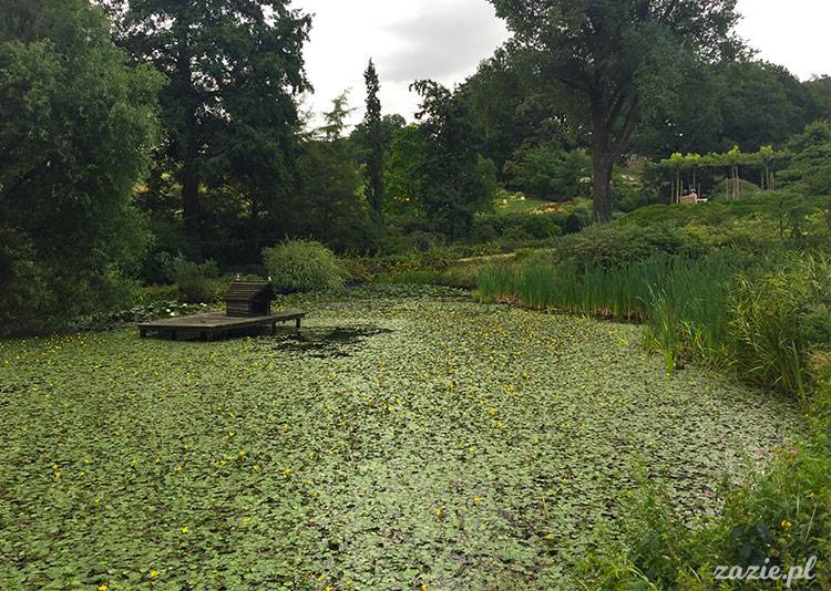 Wojsławice, Arboretum w Wojsławicach, ogród botaniczny Uniwersytetu Wrocławskiego