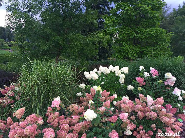 Wojsławice, Arboretum w Wojsławicach, ogród botaniczny Uniwersytetu Wrocławskiego
