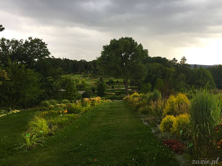 Wojsławice, Arboretum w Wojsławicach, ogród botaniczny Uniwersytetu Wrocławskiego