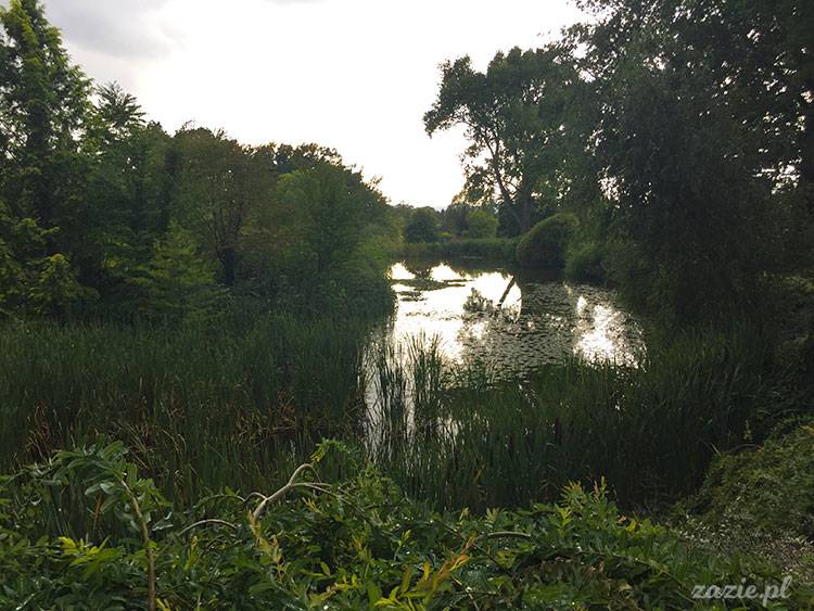 Wojsławice, Arboretum w Wojsławicach, ogród botaniczny Uniwersytetu Wrocławskiego