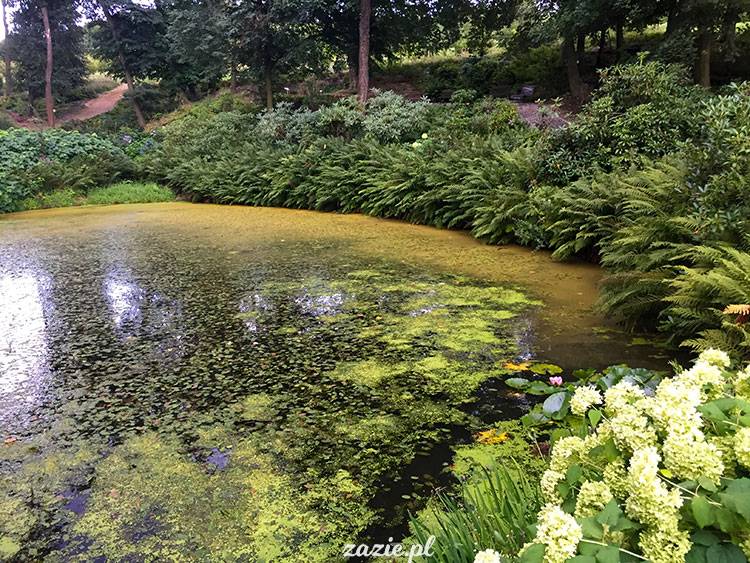 Wojsławice, Arboretum w Wojsławicach, ogród botaniczny Uniwersytetu Wrocławskiego