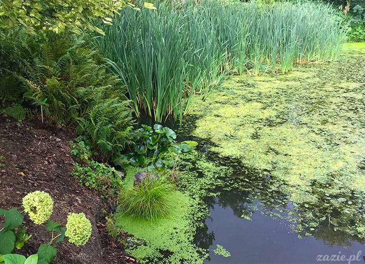 Wojsławice, Arboretum w Wojsławicach, ogród botaniczny Uniwersytetu Wrocławskiego