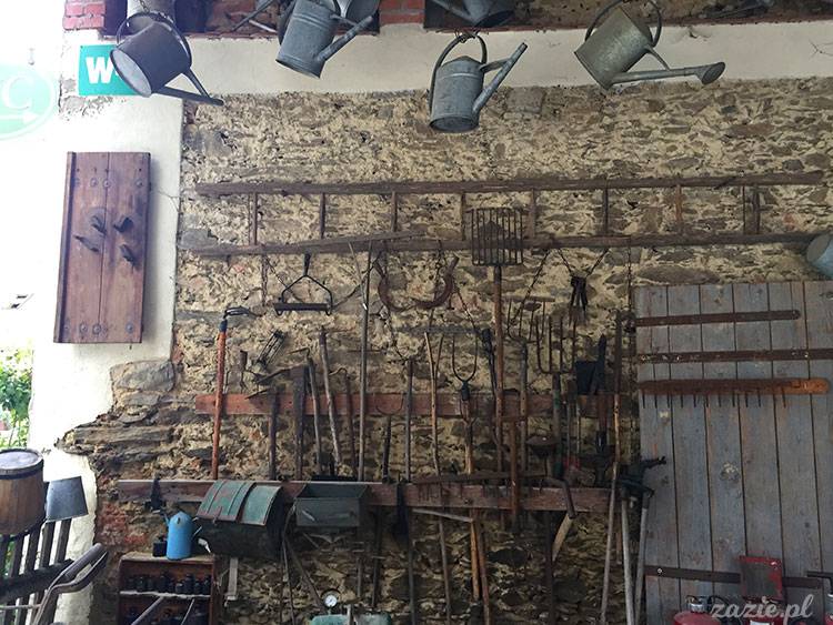 Wojsławice, Arboretum w Wojsławicach, ogród botaniczny Uniwersytetu Wrocławskiego