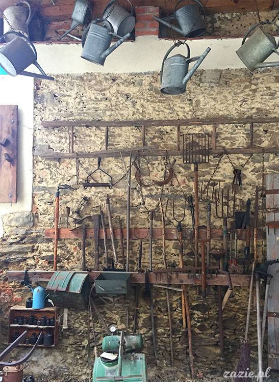 Wojsławice, Arboretum w Wojsławicach, ogród botaniczny Uniwersytetu Wrocławskiego