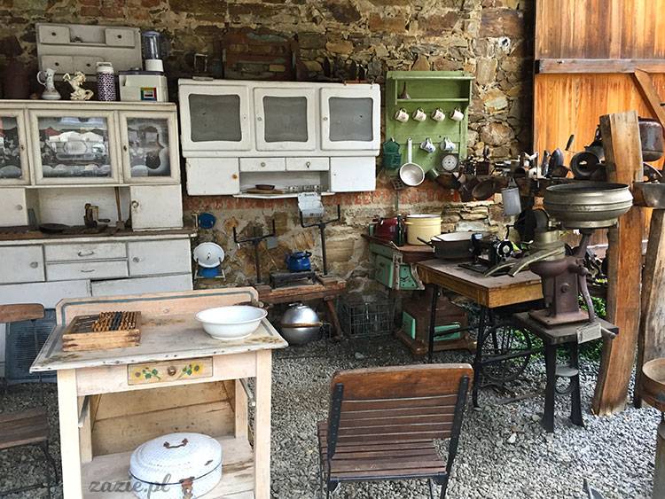 Wojsławice, Arboretum w Wojsławicach, ogród botaniczny Uniwersytetu Wrocławskiego