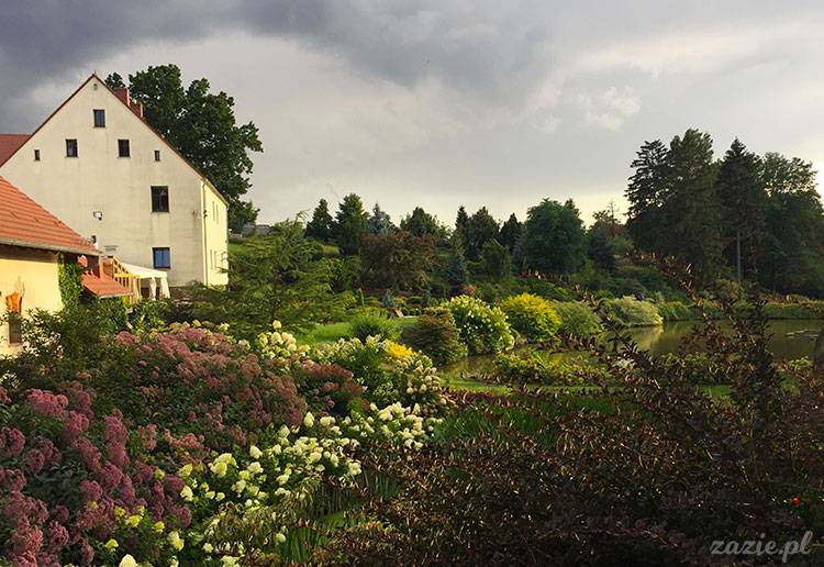 Wojsławice, Arboretum w Wojsławicach, ogród botaniczny Uniwersytetu Wrocławskiego