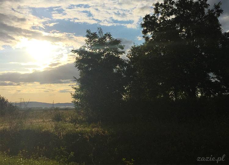 Wojsławice, Arboretum w Wojsławicach, ogród botaniczny Uniwersytetu Wrocławskiego