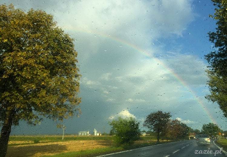 Wojsławice, Arboretum w Wojsławicach, ogród botaniczny Uniwersytetu Wrocławskiego