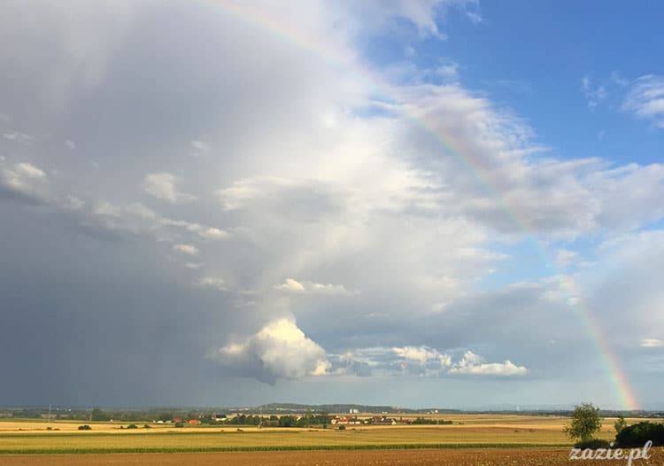 Wojsławice, Arboretum w Wojsławicach, ogród botaniczny Uniwersytetu Wrocławskiego