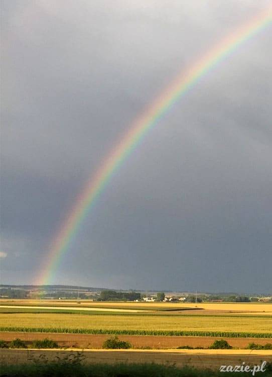 Wojsławice, Arboretum w Wojsławicach, ogród botaniczny Uniwersytetu Wrocławskiego