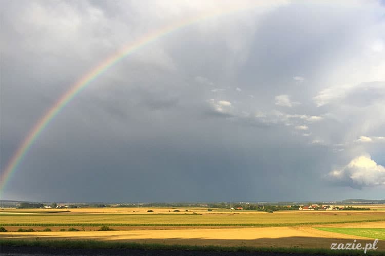 Wojsławice, Arboretum w Wojsławicach, ogród botaniczny Uniwersytetu Wrocławskiego