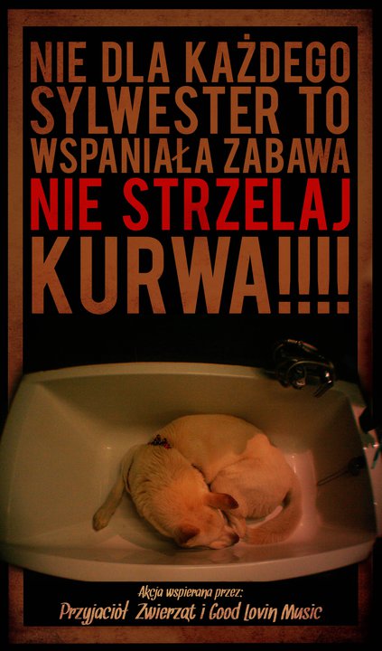 nie strzelaj w sylwestra
