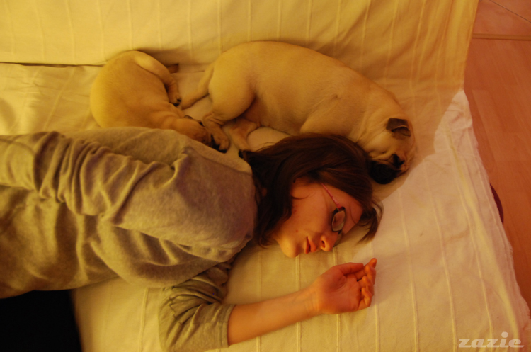 boże narodzenie 2010