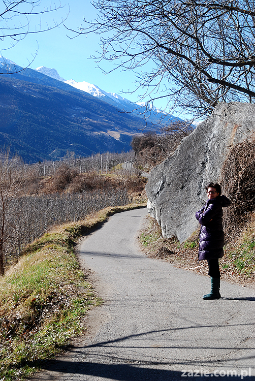 droga z Vason na Monte Bondone do Monachium