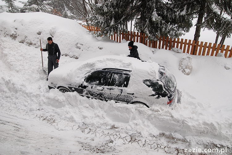 foggy day in Vason on Monte Bondone mgła