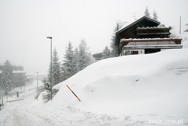 foggy day in Vason on Monte Bondone mgła