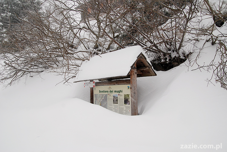 foggy day in Vason on Monte Bondone mgła