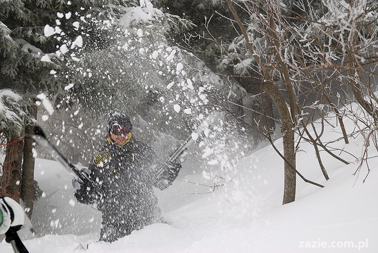 foggy day in Vason on Monte Bondone mgła