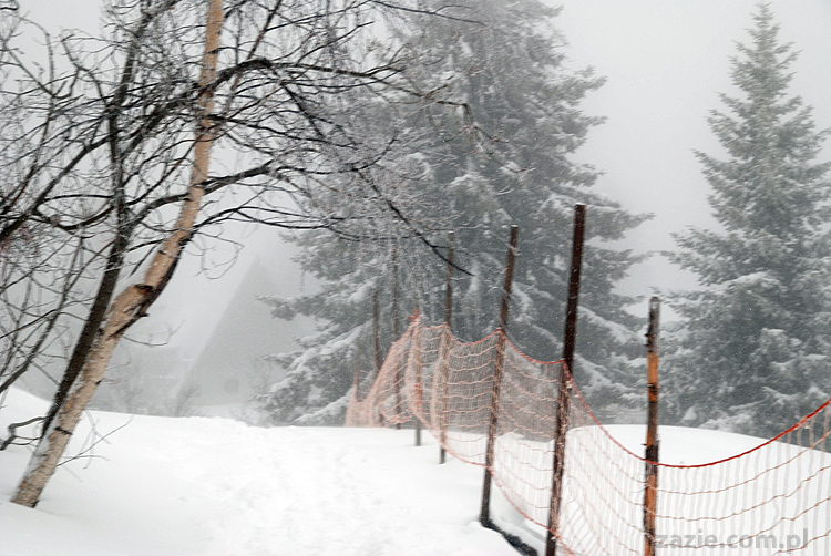 foggy day in Vason on Monte Bondone mgła