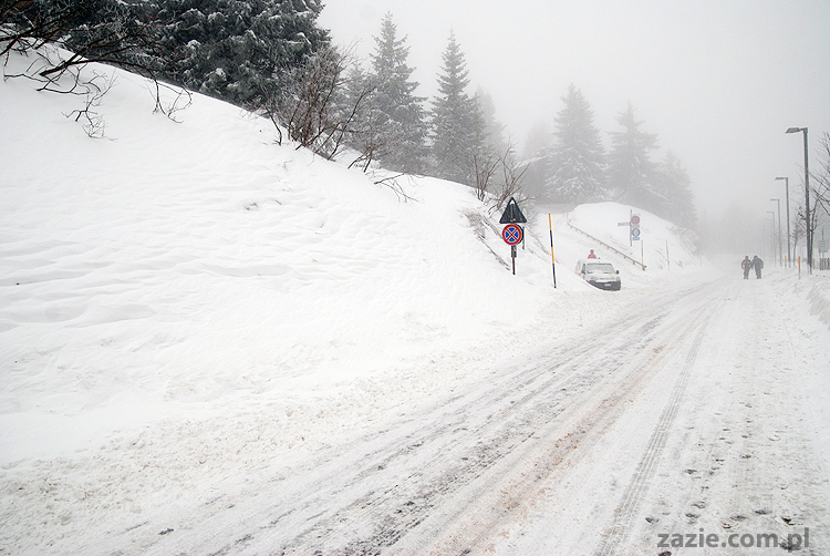 foggy day in Vason on Monte Bondone mgła