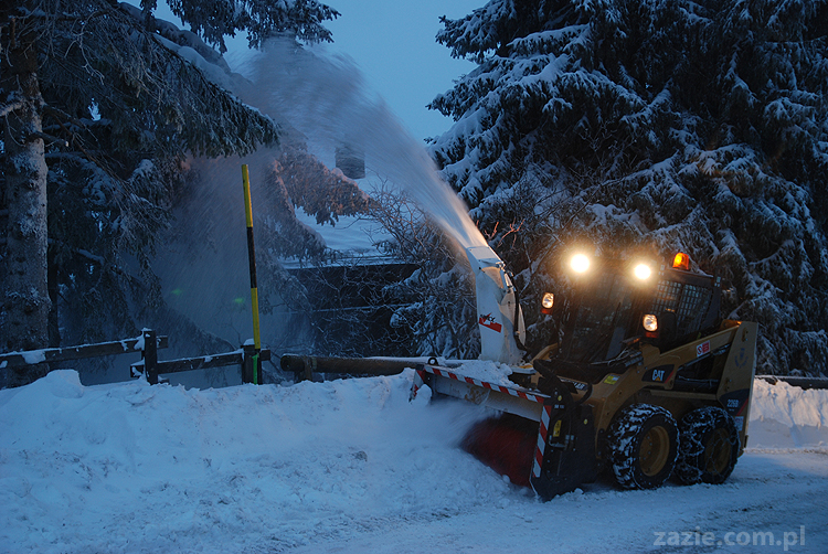 foggy day in Vason on Monte Bondone mgła