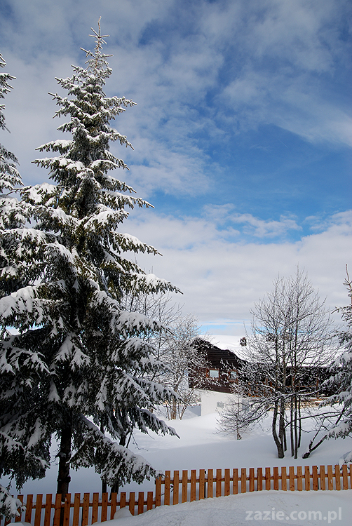 Vason Monte Bondone Cielo Aperte Mount Palon ski 