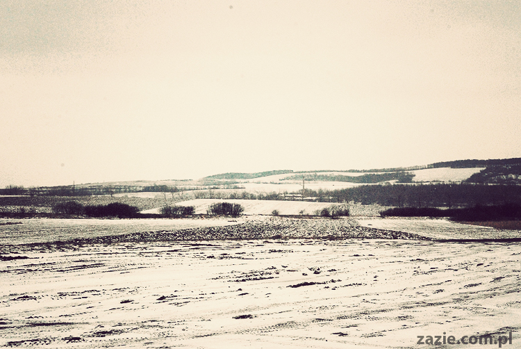 polski przydrożny bar