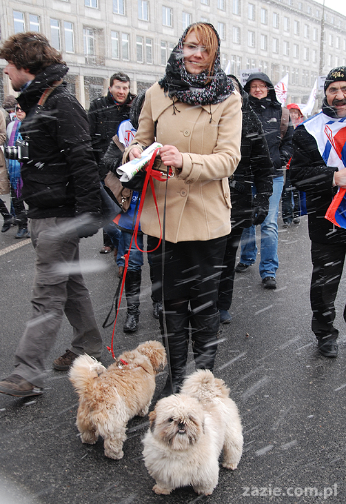 XII WIELKA MANIFA Warszawska 2011 Porozumienie Kobiet 8 marca