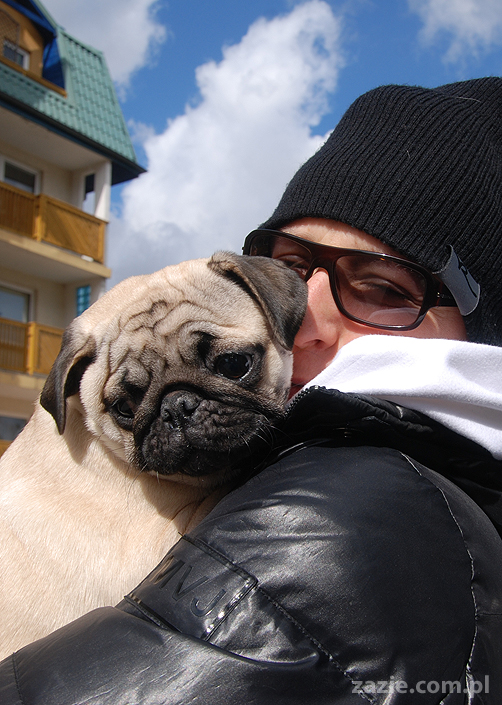 Miszur i Kumok mopsy mopsiki pug na spacerze