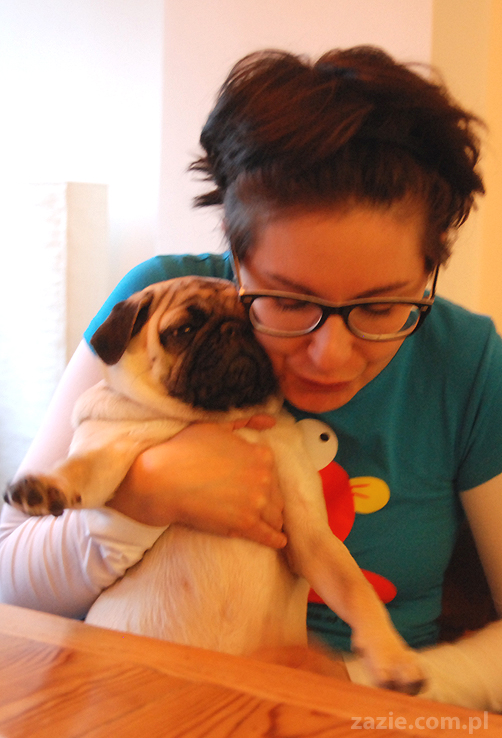 Kumok i Miszur na Solec 44 mopsy mopsiki pugs