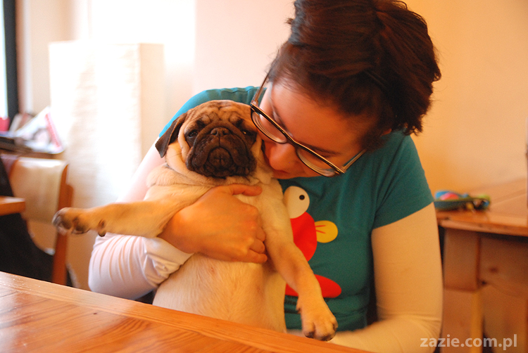 Kumok i Miszur na Solec 44 mopsy mopsiki pugs