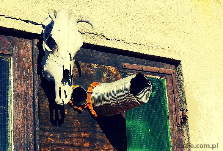 stare amerykańskle samochody old american cars