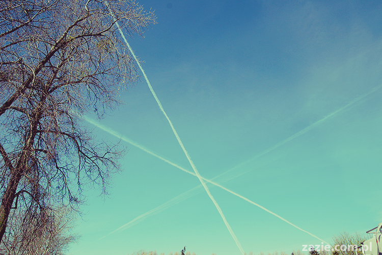 foto zapamiętywanie rakowa przemysłowego plener fotograficzny 2011