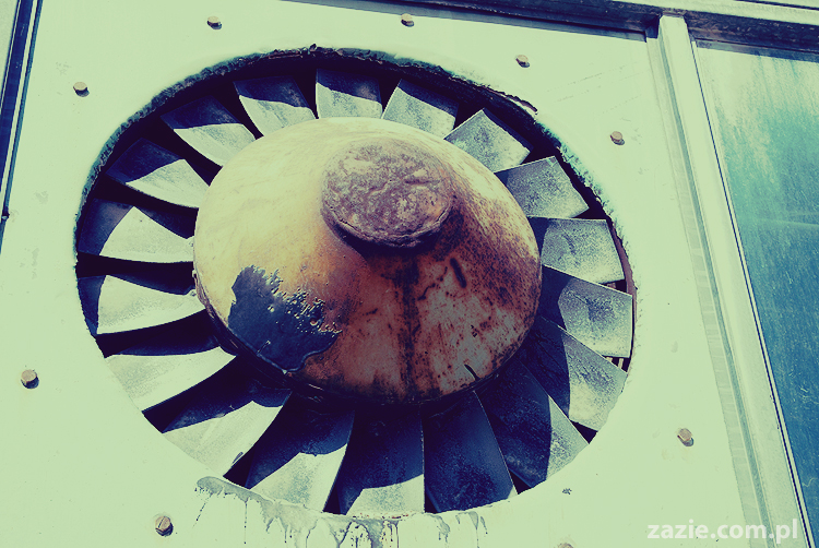 foto zapamiętywanie rakowa przemysłowego plener fotograficzny 2011