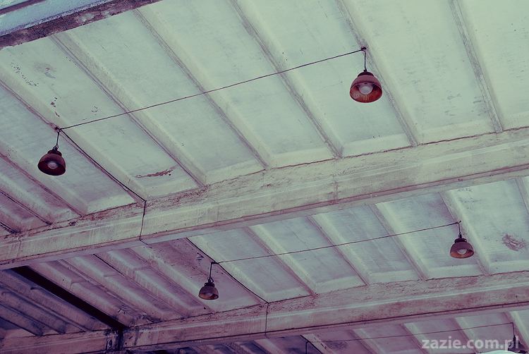 foto zapamiętywanie rakowa przemysłowego plener fotograficzny 2011