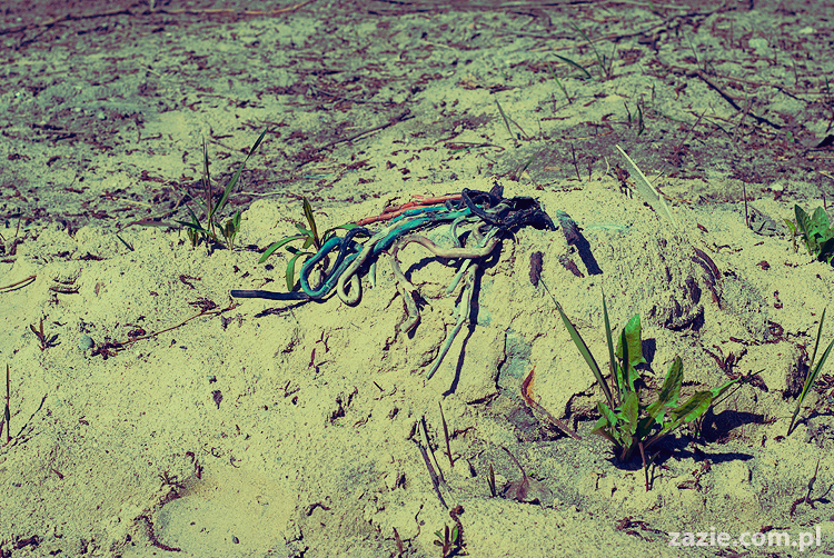 foto zapamiętywanie rakowa przemysłowego plener fotograficzny 2011