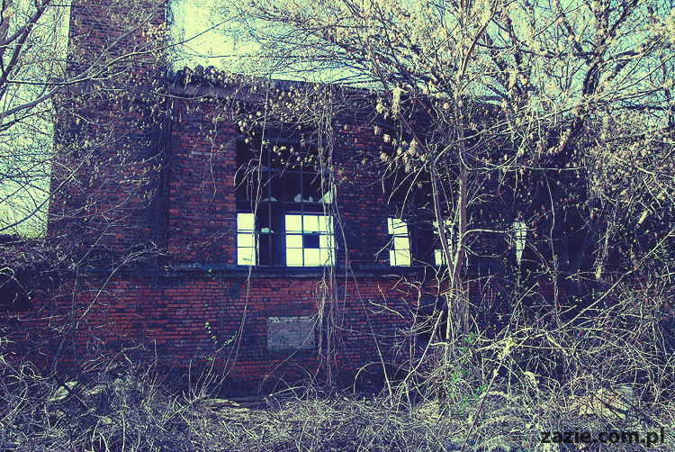 foto zapamiętywanie rakowa przemysłowego plener fotograficzny 2011