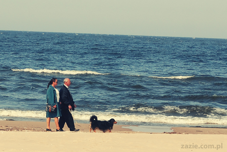 Kumok i Miszur mopsy mopsiki pugs nad morzem