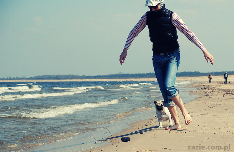 Kumok i Miszur mopsy mopsiki pugs nad morzem