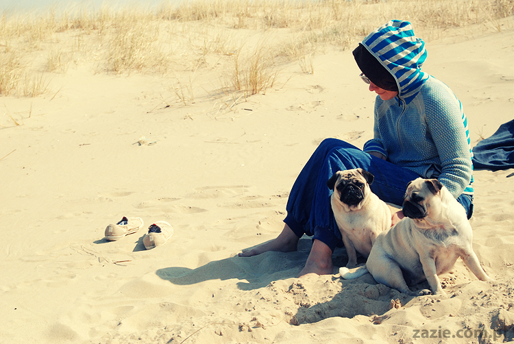 Kumok i Miszur mopsy mopsiki pugs nad morzem