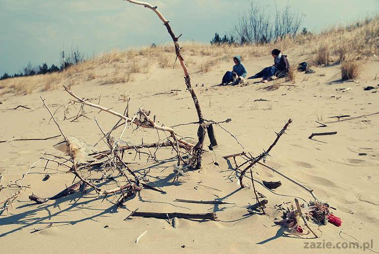 Kumok i Miszur mopsy mopsiki pugs nad morzem