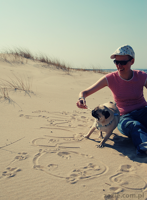 Kumok i Miszur mopsy mopsiki pugs nad morzem