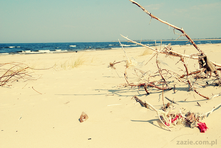 Kumok i Miszur mopsy mopsiki pugs nad morzem