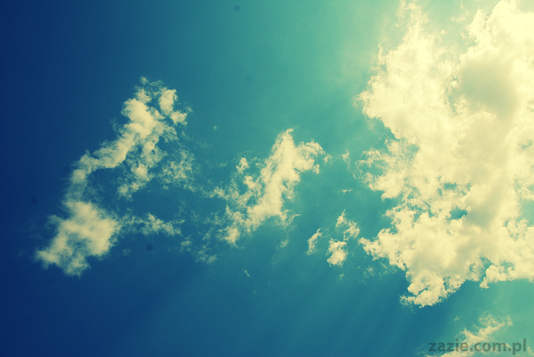 Kumok i Miszur mopsy mopsiki pugs nad morzem