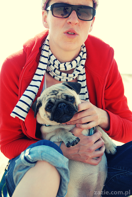 Kumok i Miszur mopsy mopsiki pugs nad morzem