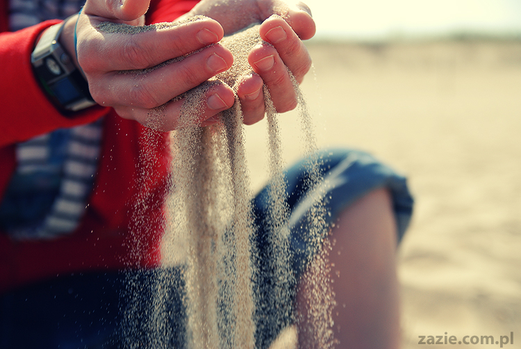 Kumok i Miszur mopsy mopsiki pugs nad morzem